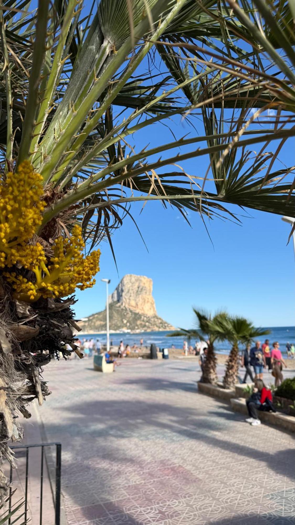 Esmeralda Suites Sunrise Con Piscina Calpe Buitenkant foto