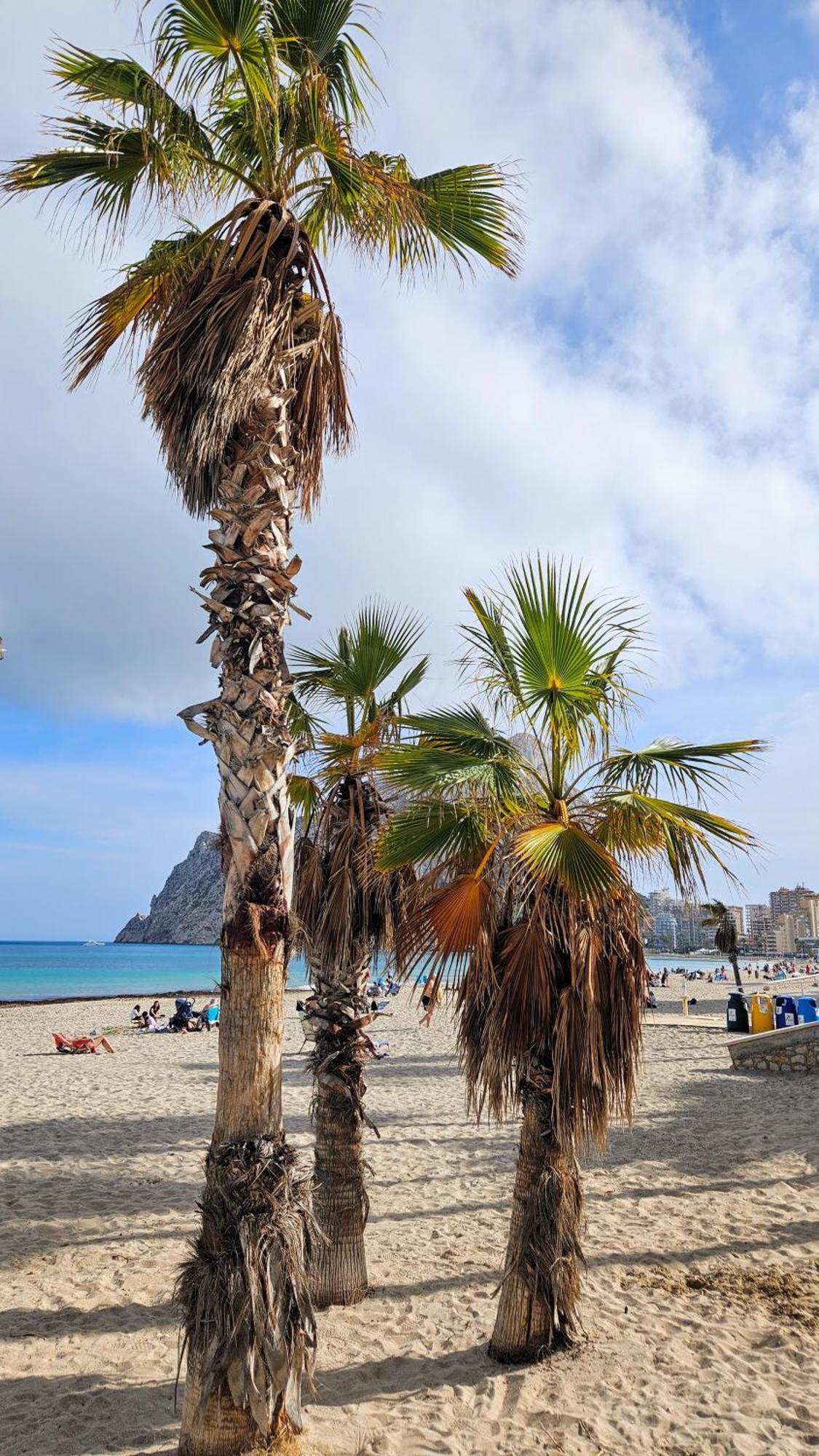 Esmeralda Suites Sunrise Con Piscina Calpe Buitenkant foto